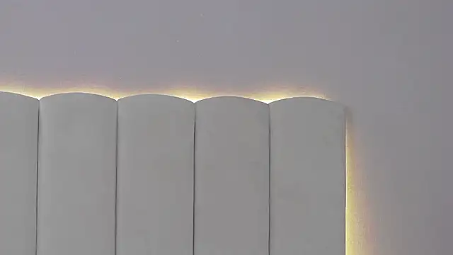 Chatroom XXX en direct de EvaNova_