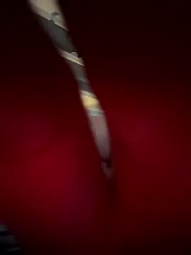 33taxation Webcam-Show