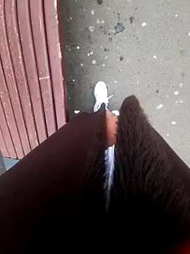 Dirtyfeelin Live XXX-Chat