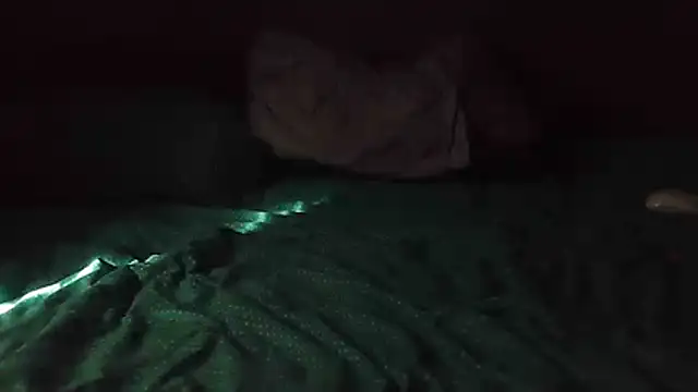 k-dongのウェブカメラショー