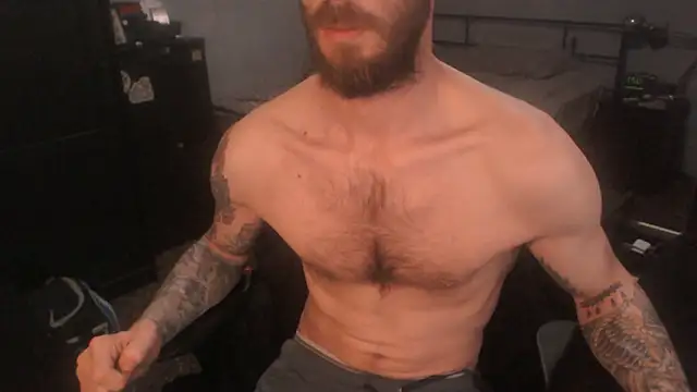 Pertunjukan Kamera Web SexxxyLouis