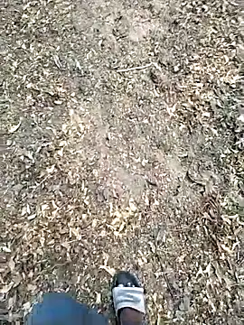 jellydicks 网络视讯表演