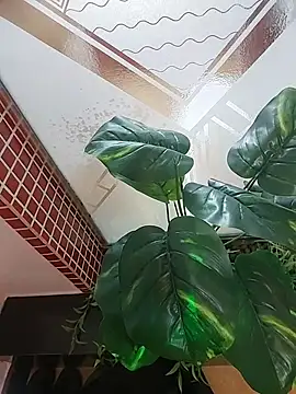 Men-TOP1's Live XXX Chat