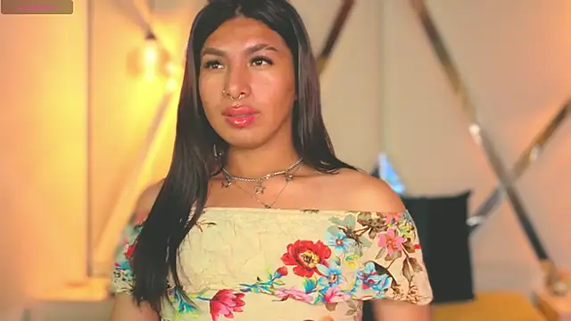 Chat +18 de MeelFox ao vivo