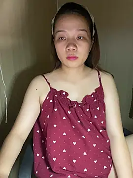 An-An19n Webbikameraesitys