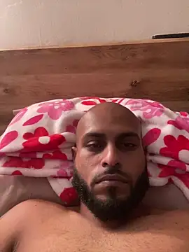 islandvybee55 웹캠 쇼