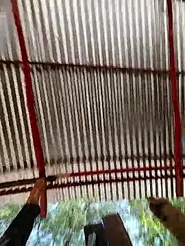 Brenda_Berck_ Chat XXX in diretta