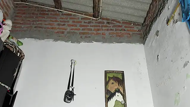 blaze_panther Show Webcam