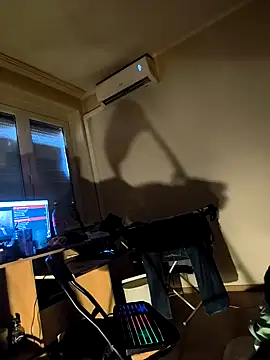 Webkamerová show ts_dina