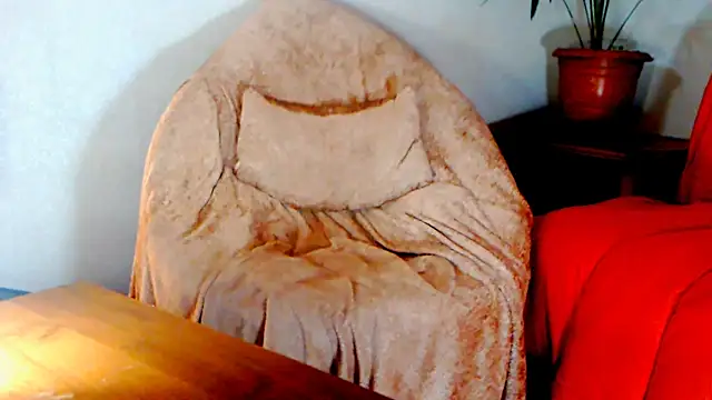 Show modela Live_View na web-kameri