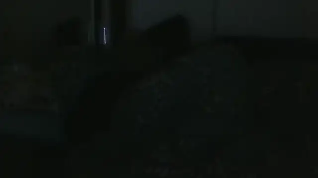 عرض كام vitalik66679