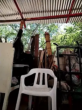 Brenda_Berck_n Live XXX chat