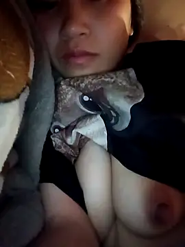 han-camx 网络视讯表演