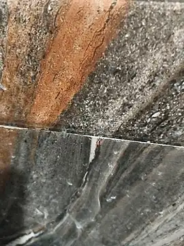 Bengal_Tiger420 Pertunjukan Webcam