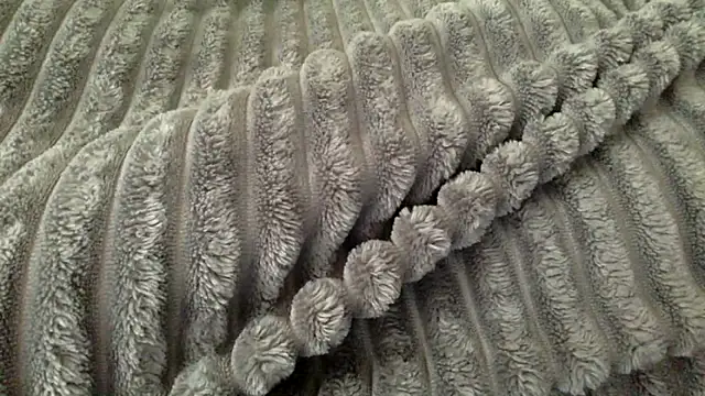 Pertunjukan Kamera Web slutzilly