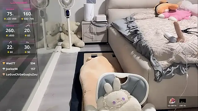 yyds-8のウェブカメラショー