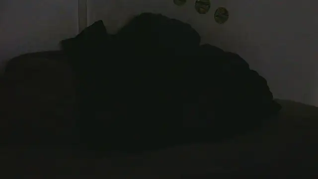 Pokazy przed kamerką – pbilip7787