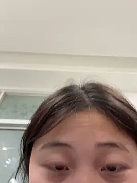 TEVDKAn Webbikameraesitys