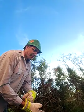 delfi6 élő XXX-chatje