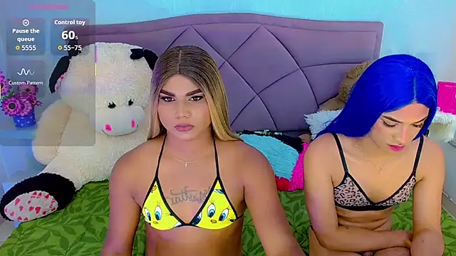 party_duo_trans 网络视讯表演