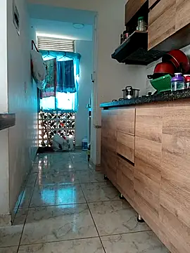 Show de webcam de LEIRIS_Y_FRED_01