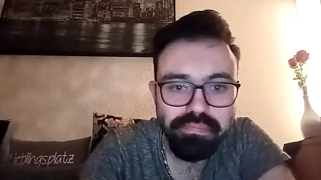 Show webcam de Stevus31