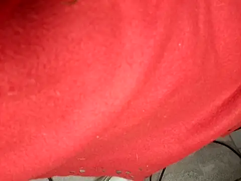 pedrocore89: διαδικτυακό σόου στην κάμερα