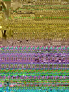 LucieMack 라이브 XXX 채팅