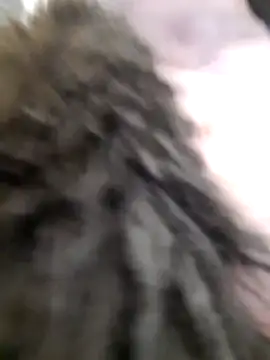 Dirtyfeelin Chat XXX live