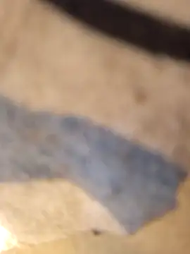 Pokazy przed kamerką – nuttiebuddy1