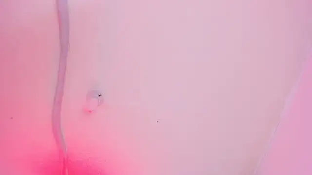 Emily_Coper18 即時 XXX 聊天