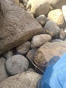 Gustavo52367: διαδικτυακό σόου στην κάμερα