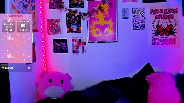 johnnyalx – Kamerová šou