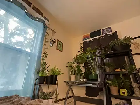 Show webcam de WildSkyX