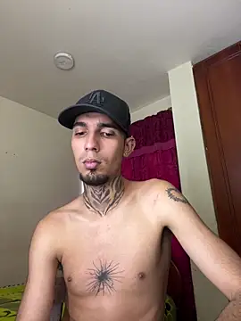 Stiward_newman – Kamerová šou