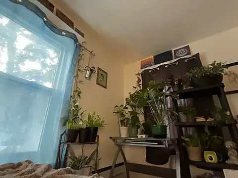 WildSkyX Chat XXX in diretta