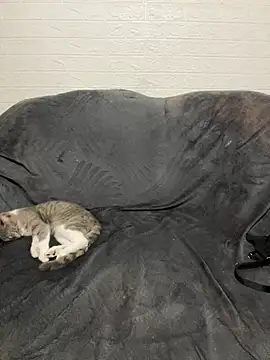 Živý XXX chat AlisRoxy