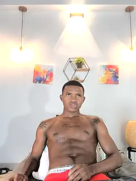 hanssmitt webcam show