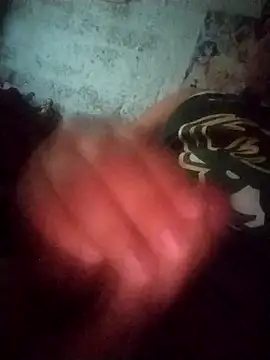 Show webcam de raydres