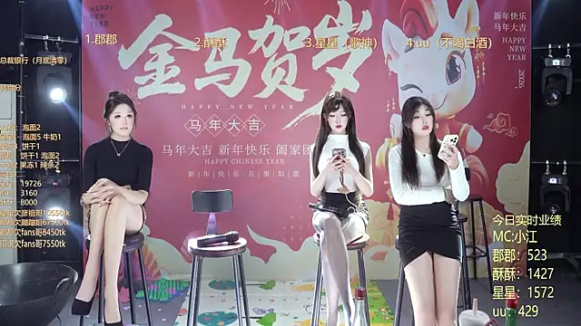 Show webcam de A848-01