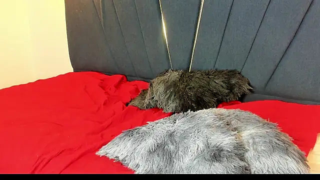 ryder_cum23 Live XXX-Chat