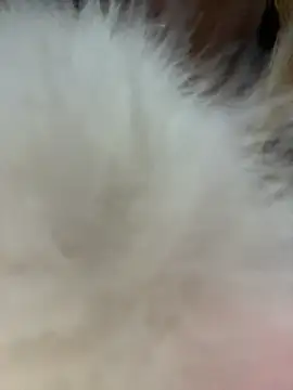 Czat XXX na żywo – AnastasiaAniess