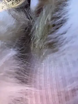 AnastasiaAniess Webcamshow