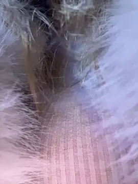 Chat XXX ao vivo de AnastasiaAniess