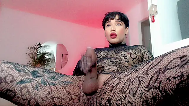 Chat +18 de little_star_porn ao vivo