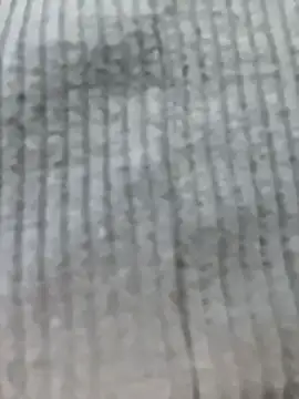 TweetiePieXXX Chat XXX in diretta