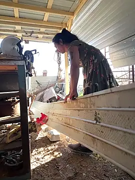 แชท XXX สดของ TranSexualJade95