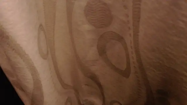 madelene – Live XXX-chat