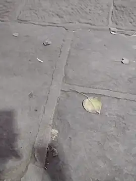 عرض كام Juanstevan2724