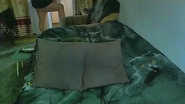 sex2 Adlı Modelin Canlı XXX Sohbeti